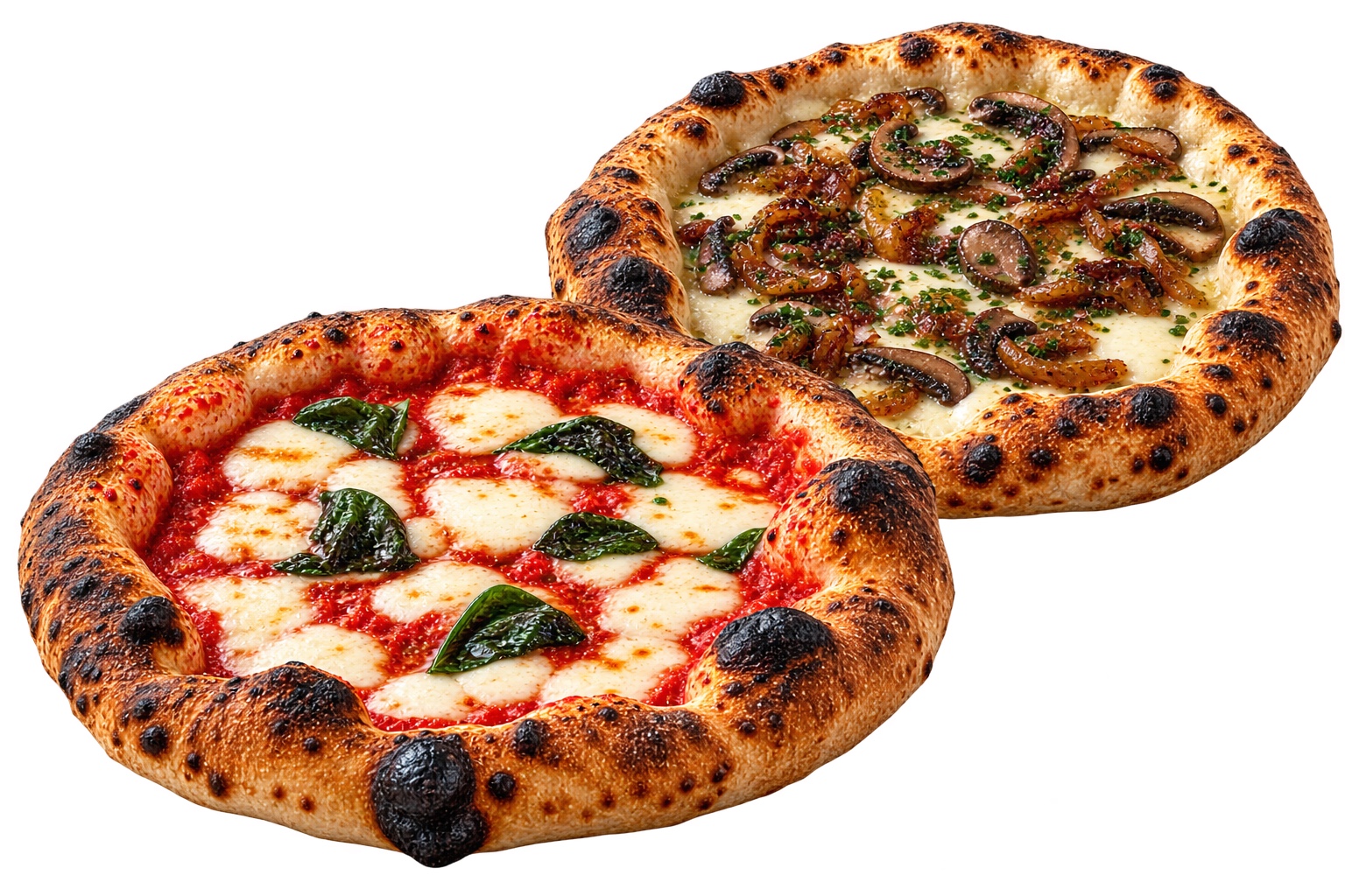 Two artisan pizzas